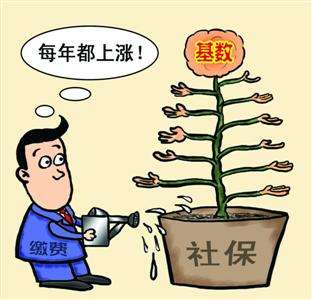 個(gè)人和單位繳納的社保，待遇會(huì)有什么區(qū)別？ 第1張